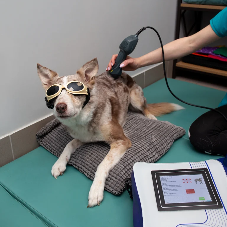 laseroterapia